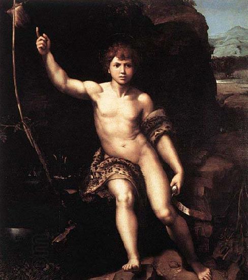 RAFFAELLO Sanzio St John the Baptist oil painting picture